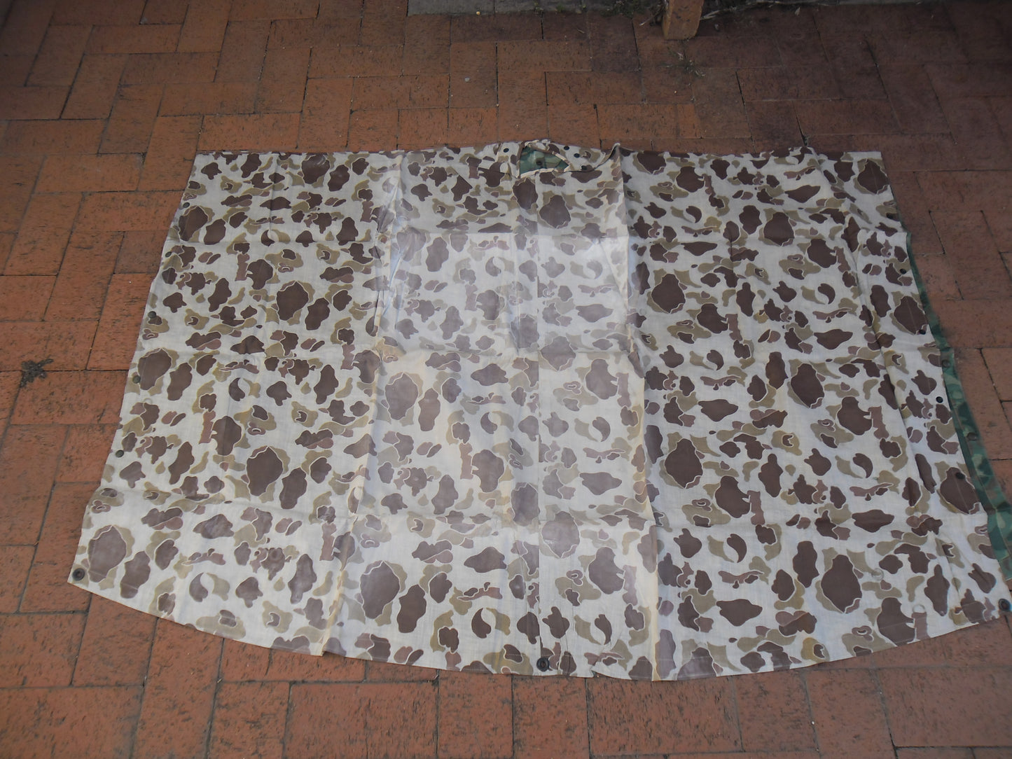 USMC Poncho #5